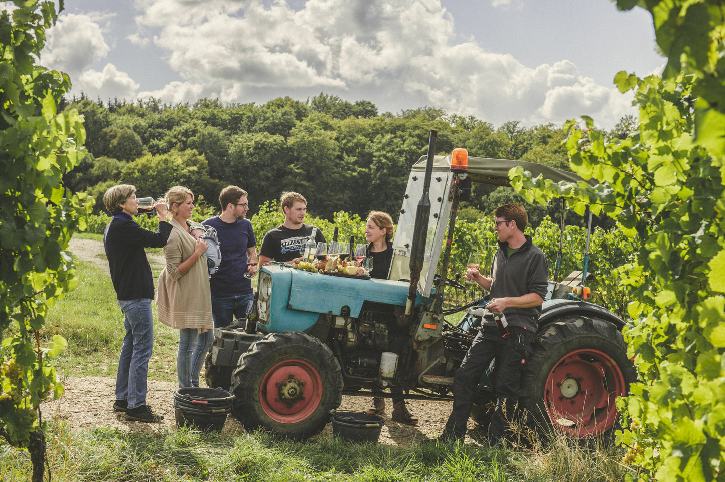 SAUERWEINS Weingut