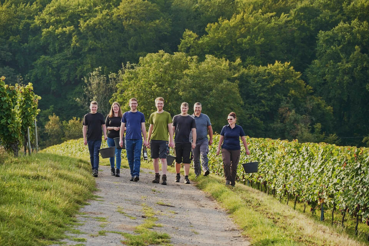 SAUERWEINS Weingut