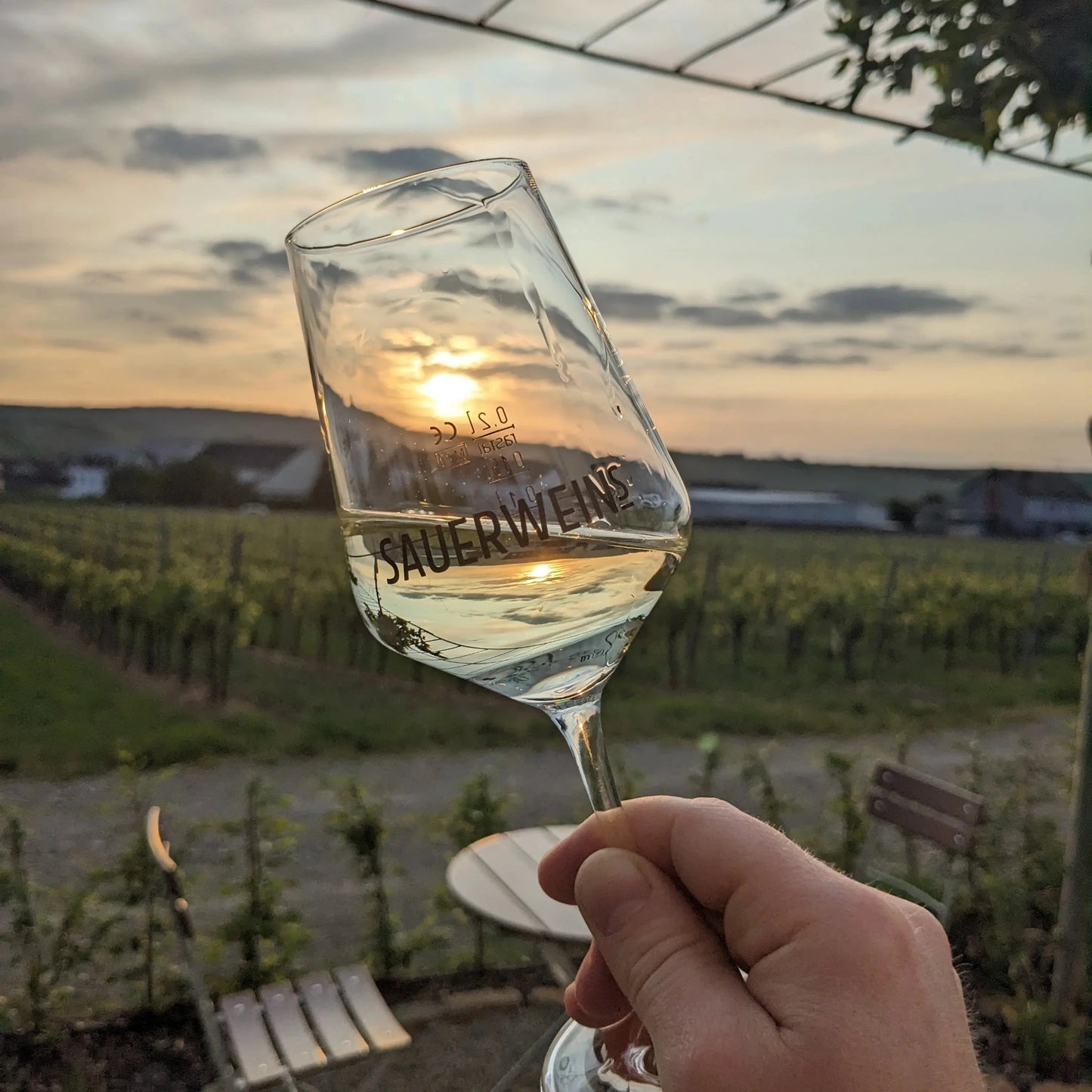 
                  
                    2024er Elbling Trocken
                  
                