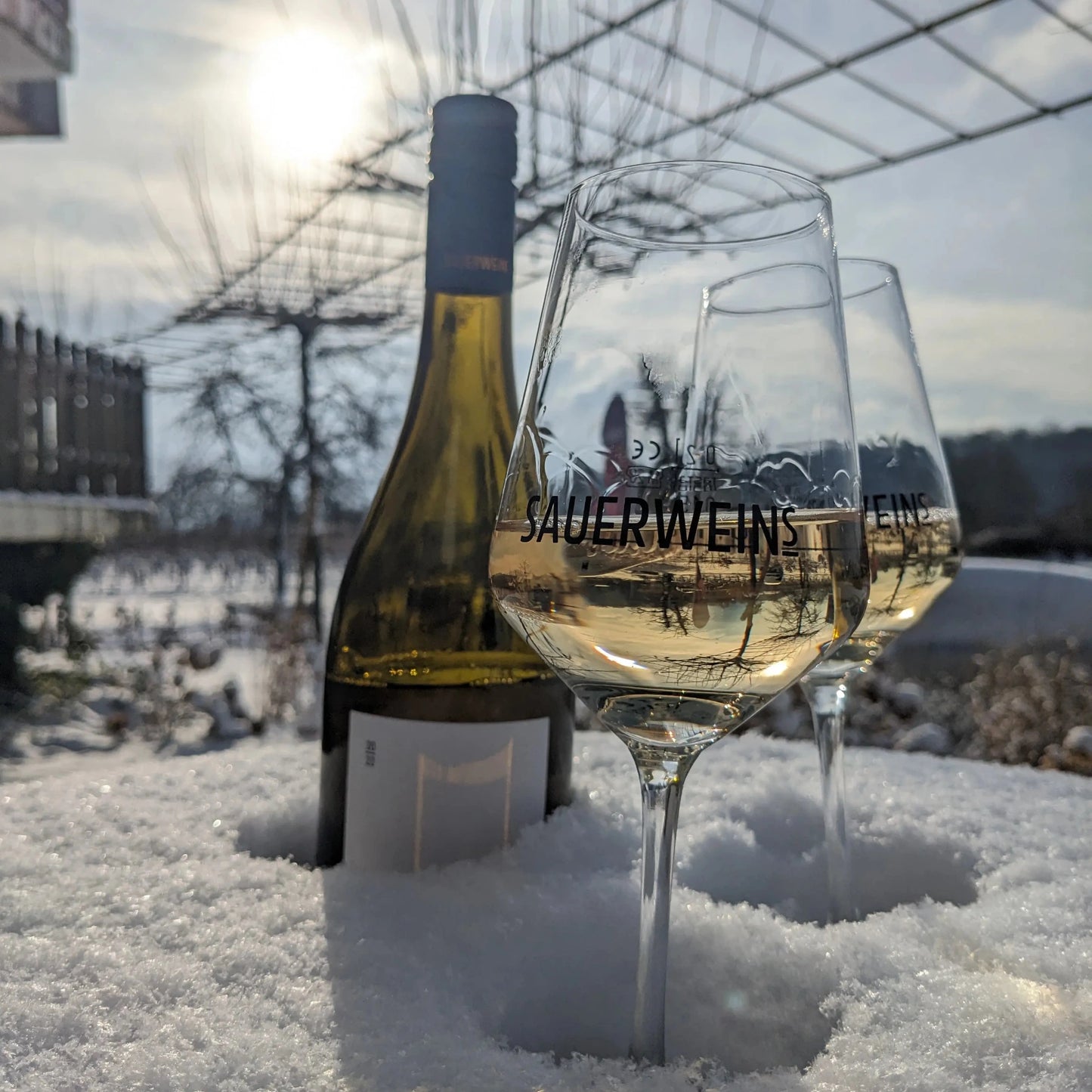 
                  
                    2024er Weißburgunder vom Muschelkalk
                  
                