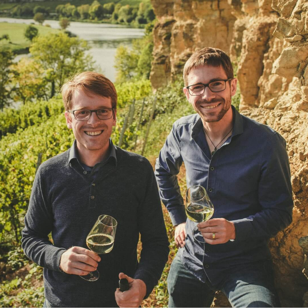 SAUERWEINS Weingut