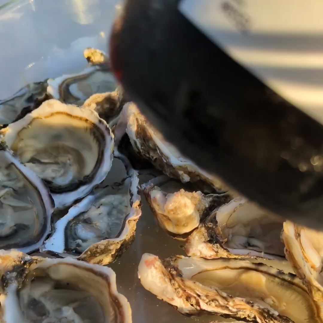 
                  
                    Video in der Galerie ansehen und abspielen, Elbling Sekt Extra Brut
                  
                