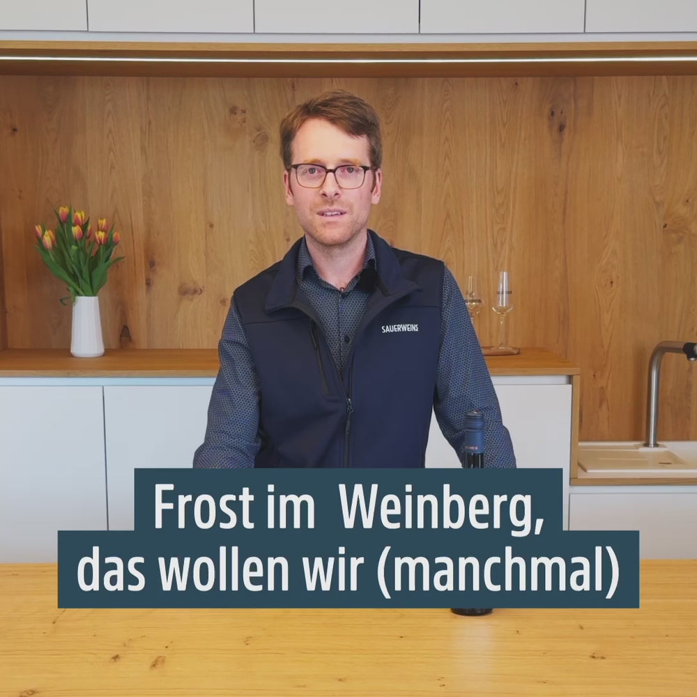 SAUERWEINS Weingut – 2018er Spätburgunder Blanc de Noir Eiswein